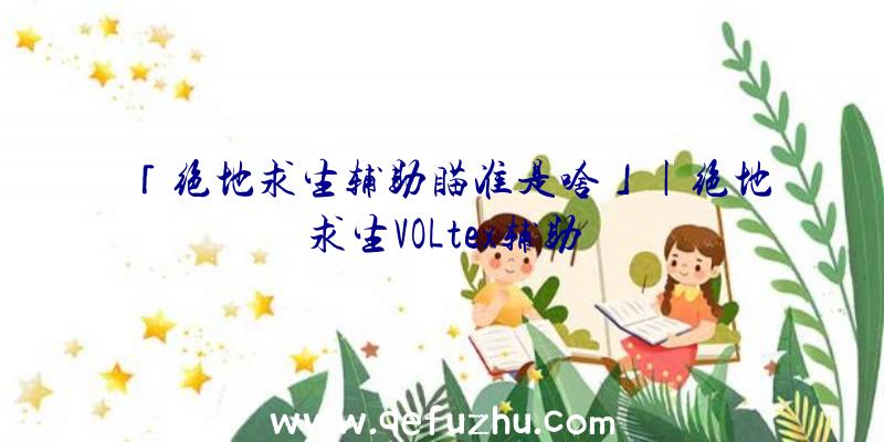 「绝地求生辅助瞄准是啥」|绝地求生VOLtex辅助